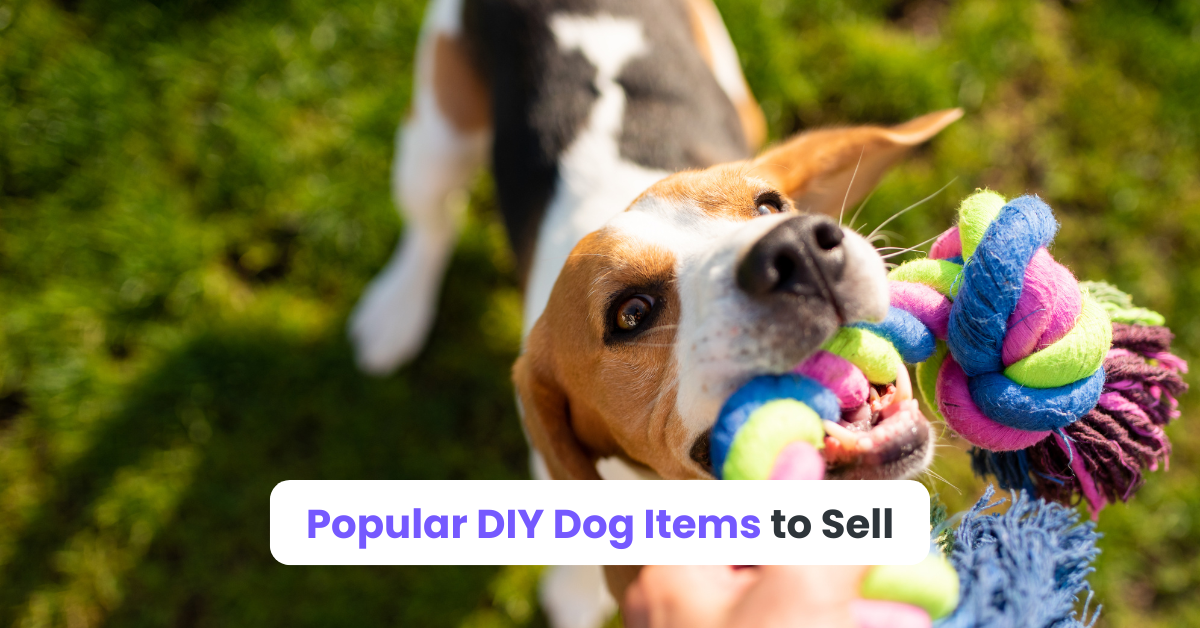 Popular DIY Dog Items to Sell